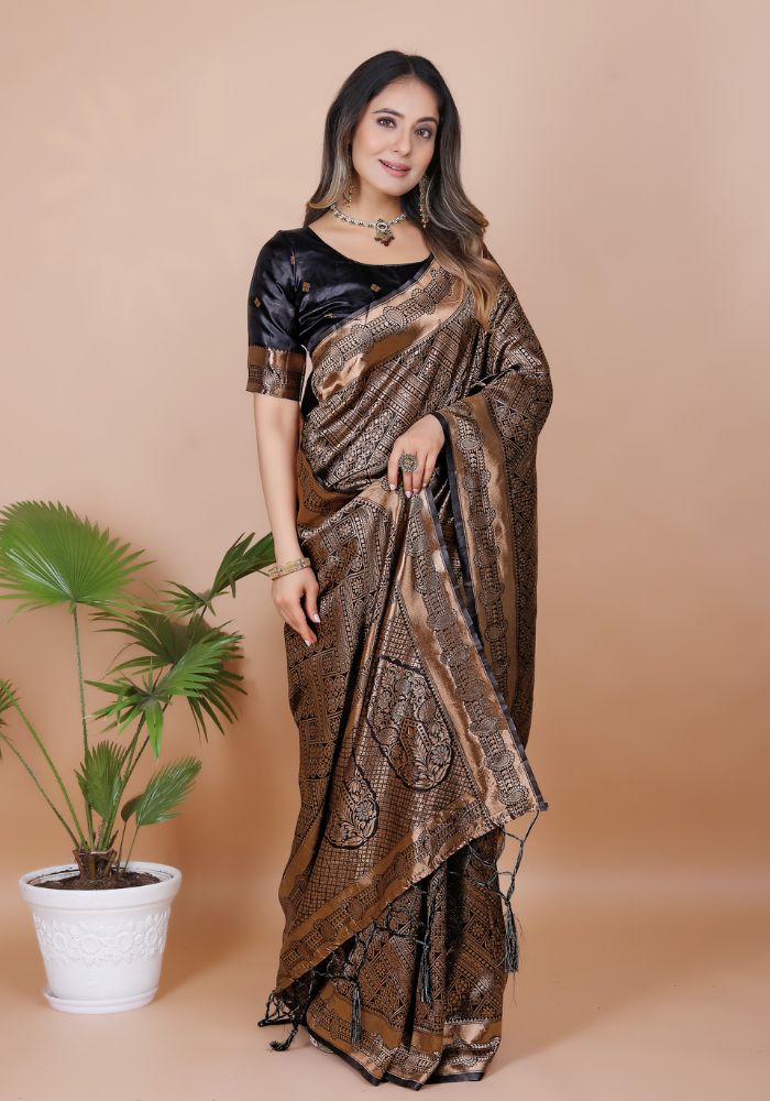 Celebration Saree (1662)