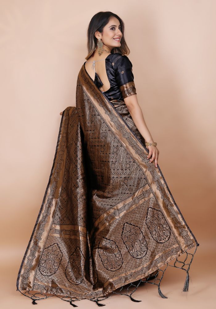 Celebration Saree (1662)
