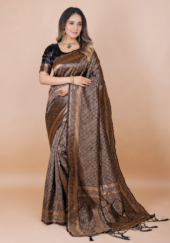 Celebration Saree (1662)